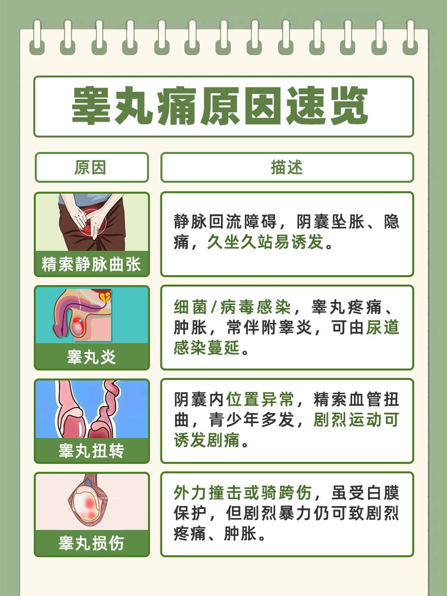 睾丸疼痛：常见原因盘点，守护男性健康！