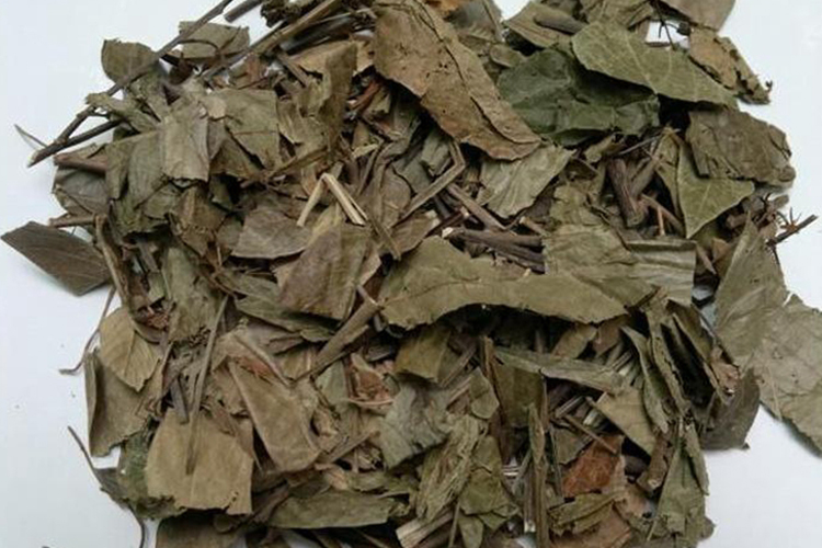 中药葫芦草药材图 中药葫芦草药材图