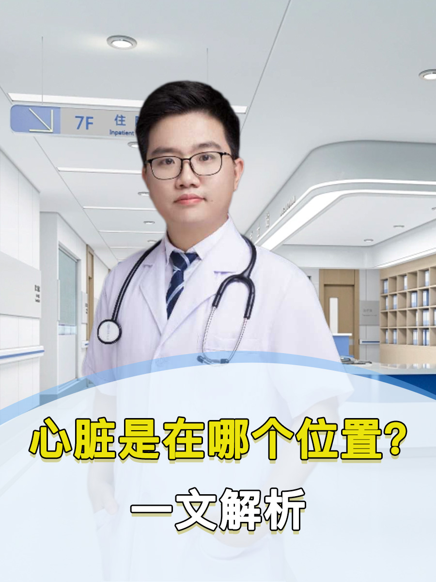 心脏是在哪个位置?一文解析