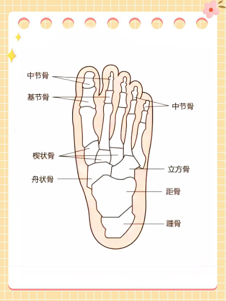 详细分享｜脚的各个部位都叫什么名字？