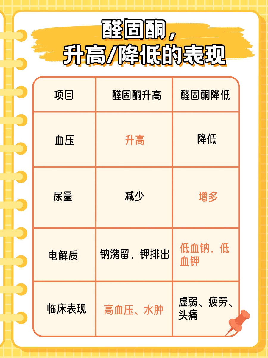 深入了解：醛固酮与抗利尿激素的区别