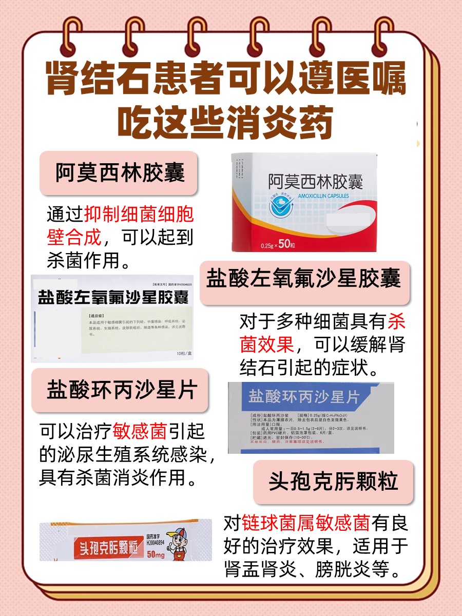 肾结石消炎攻略：科学选择，哪些药物最有效？