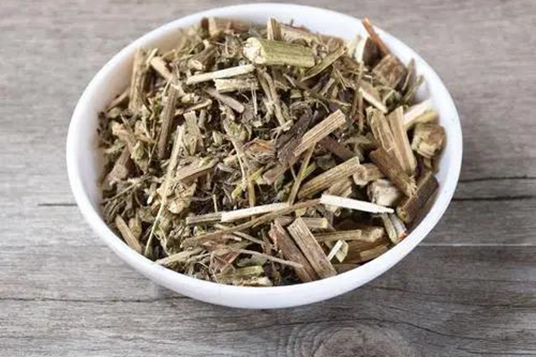 中药一枝黄花图