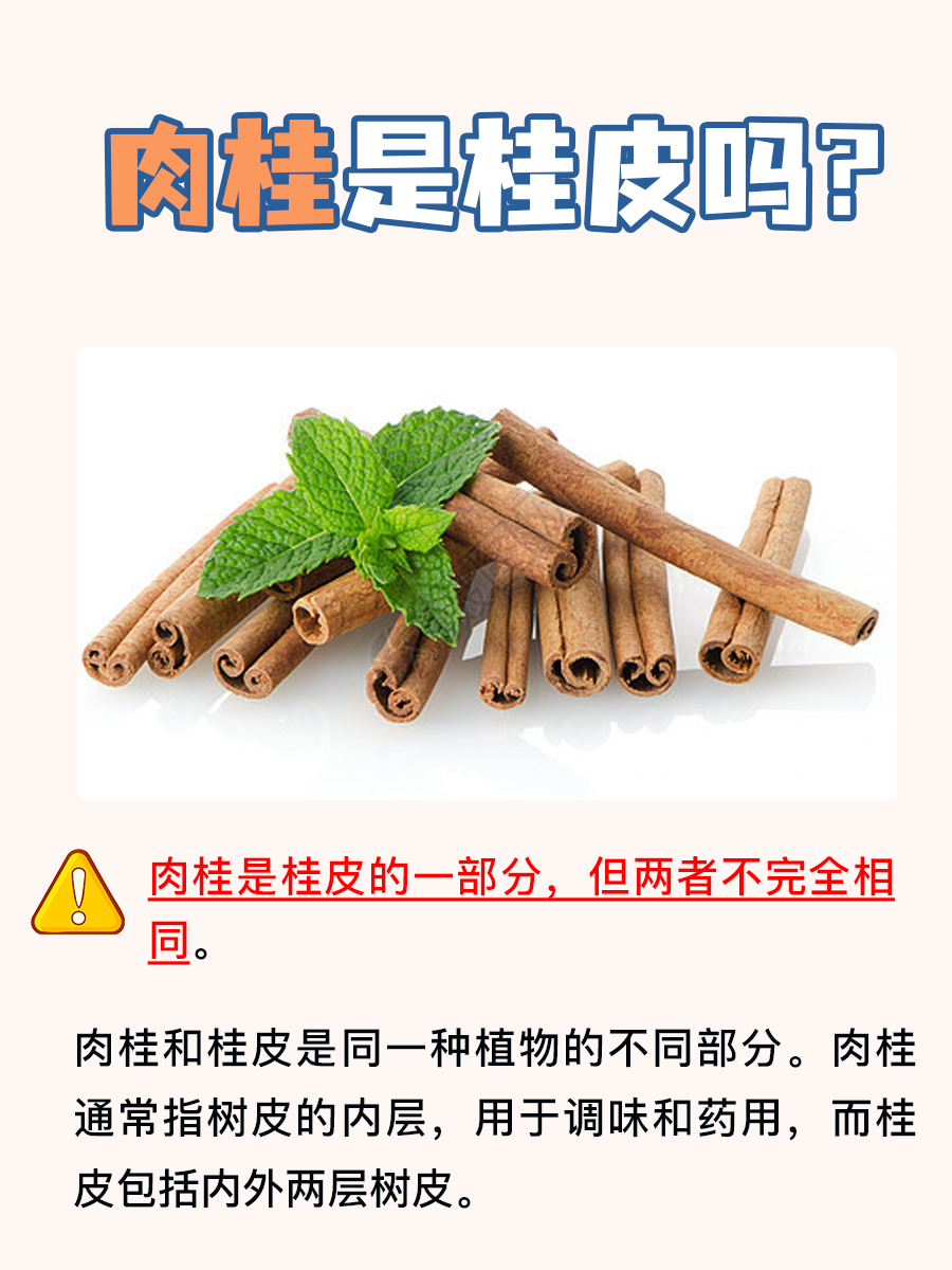 肉桂是桂皮吗？这里有答案！