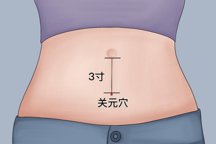关元穴图