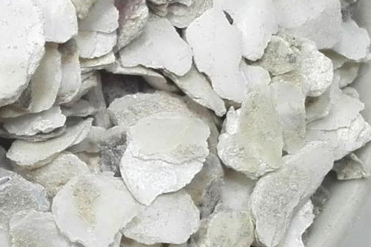 中药生龙牡图 中药生龙牡图