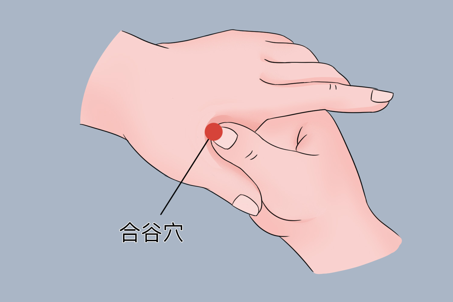 合谷穴位置图