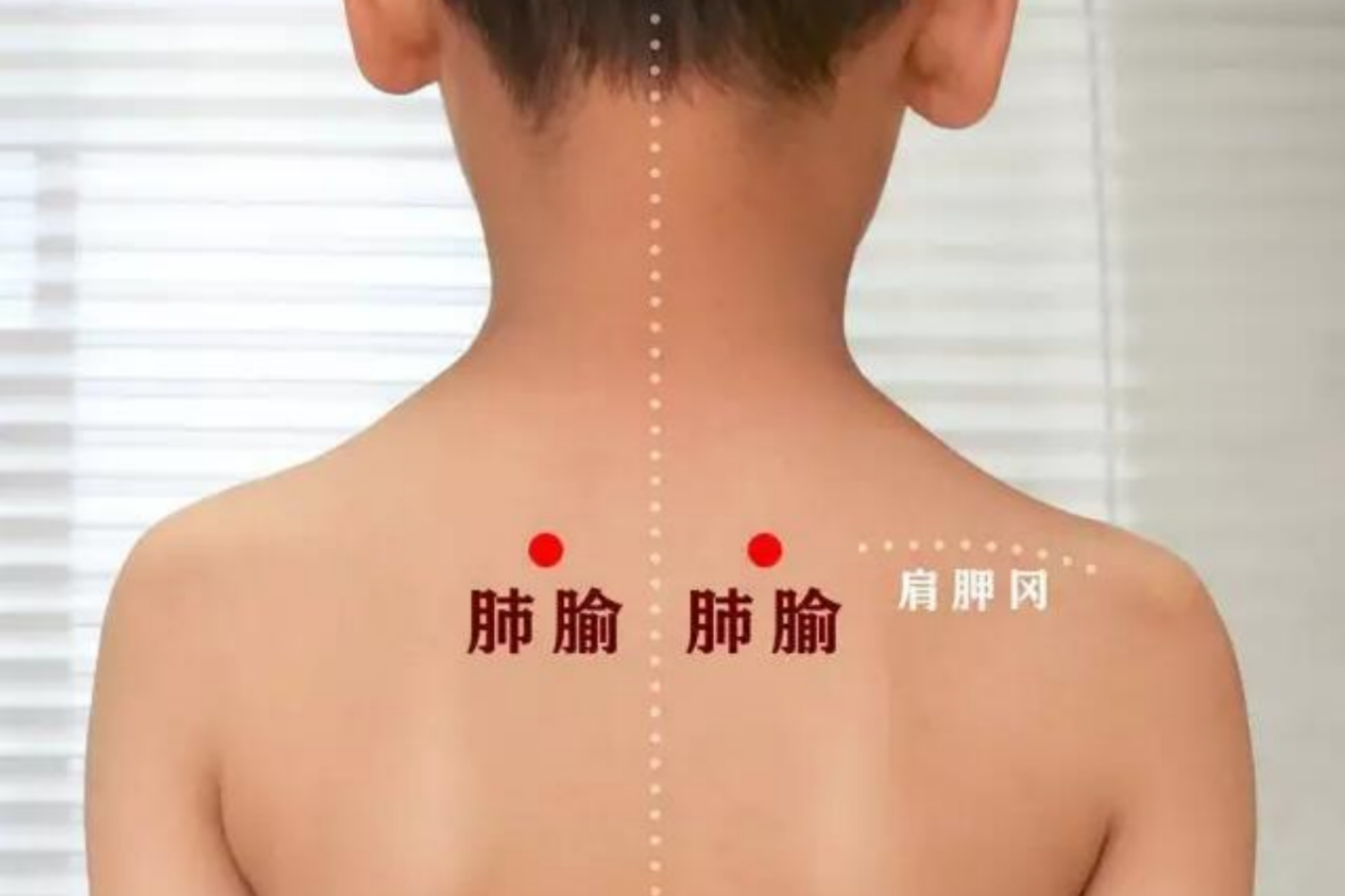 小儿肺俞穴位置图