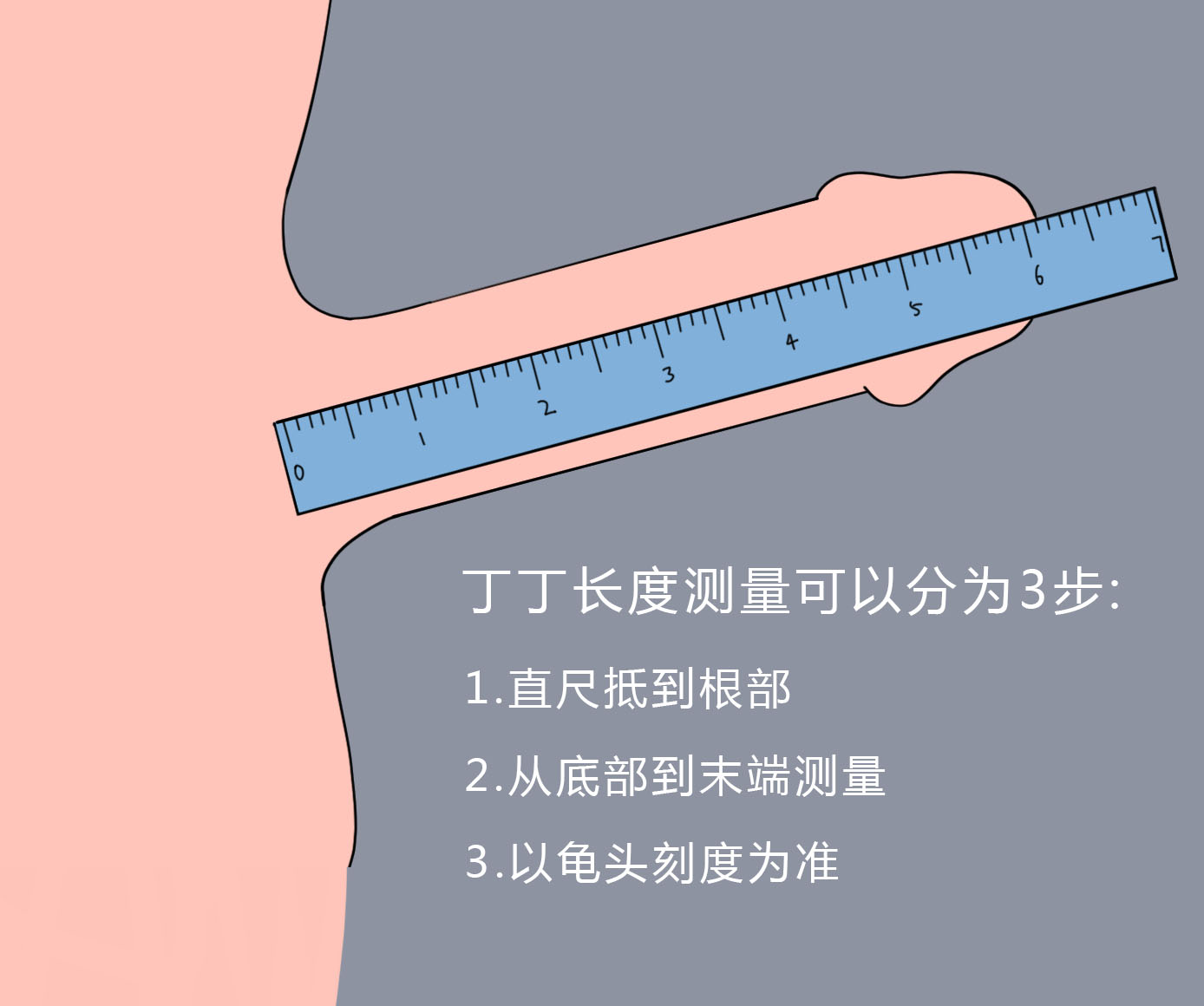 想要知道丁丁的长度,我们可以通过三个方式,分别是测量松弛长度,牵拉