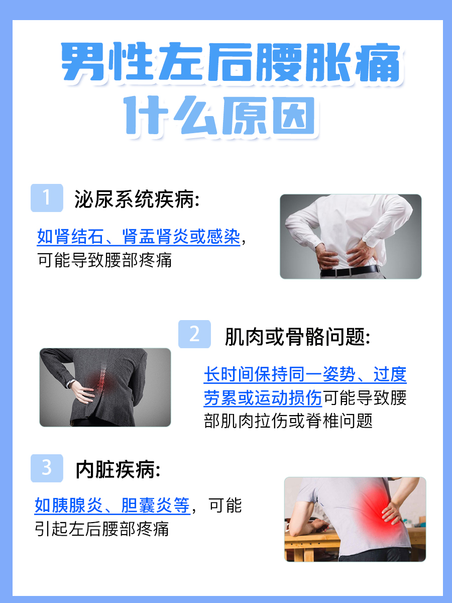 男性左后腰胀痛，原因及对策解析