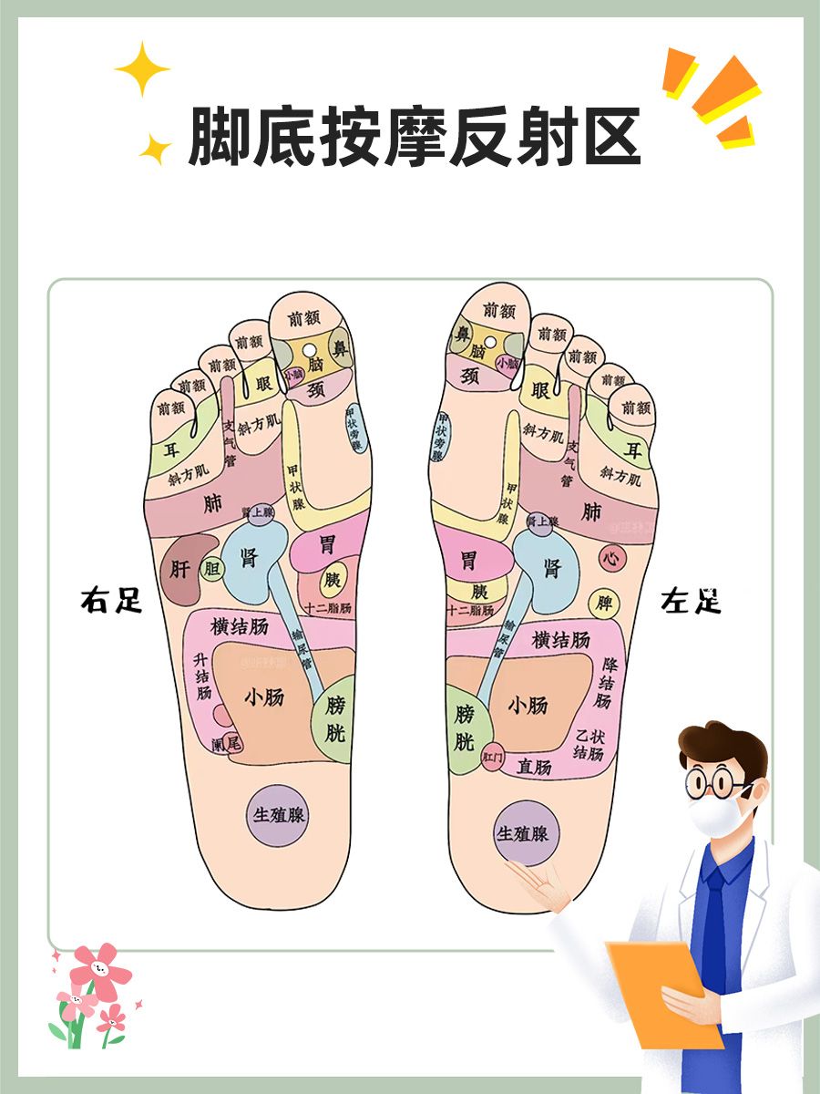 搞定脚底按摩，在家也能做（附反射区图片）