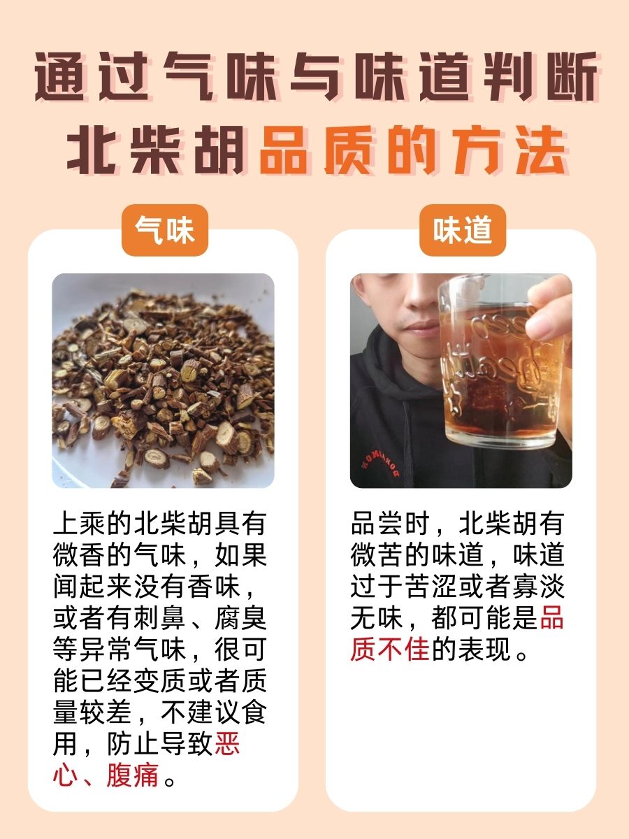 别小瞧它!北柴胡的主治与功效作用全知晓