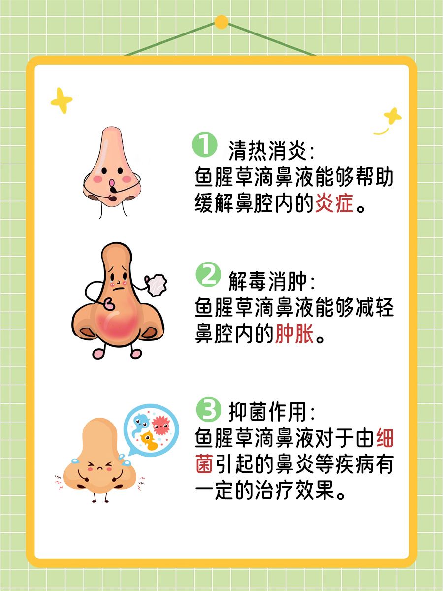 鱼腥草滴鼻液：鼻炎高发季，它能让你好受点！