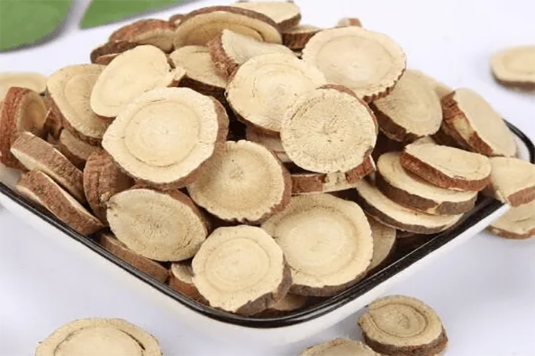 甘草根横切面图 甘草根横切面图