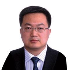 藏磊