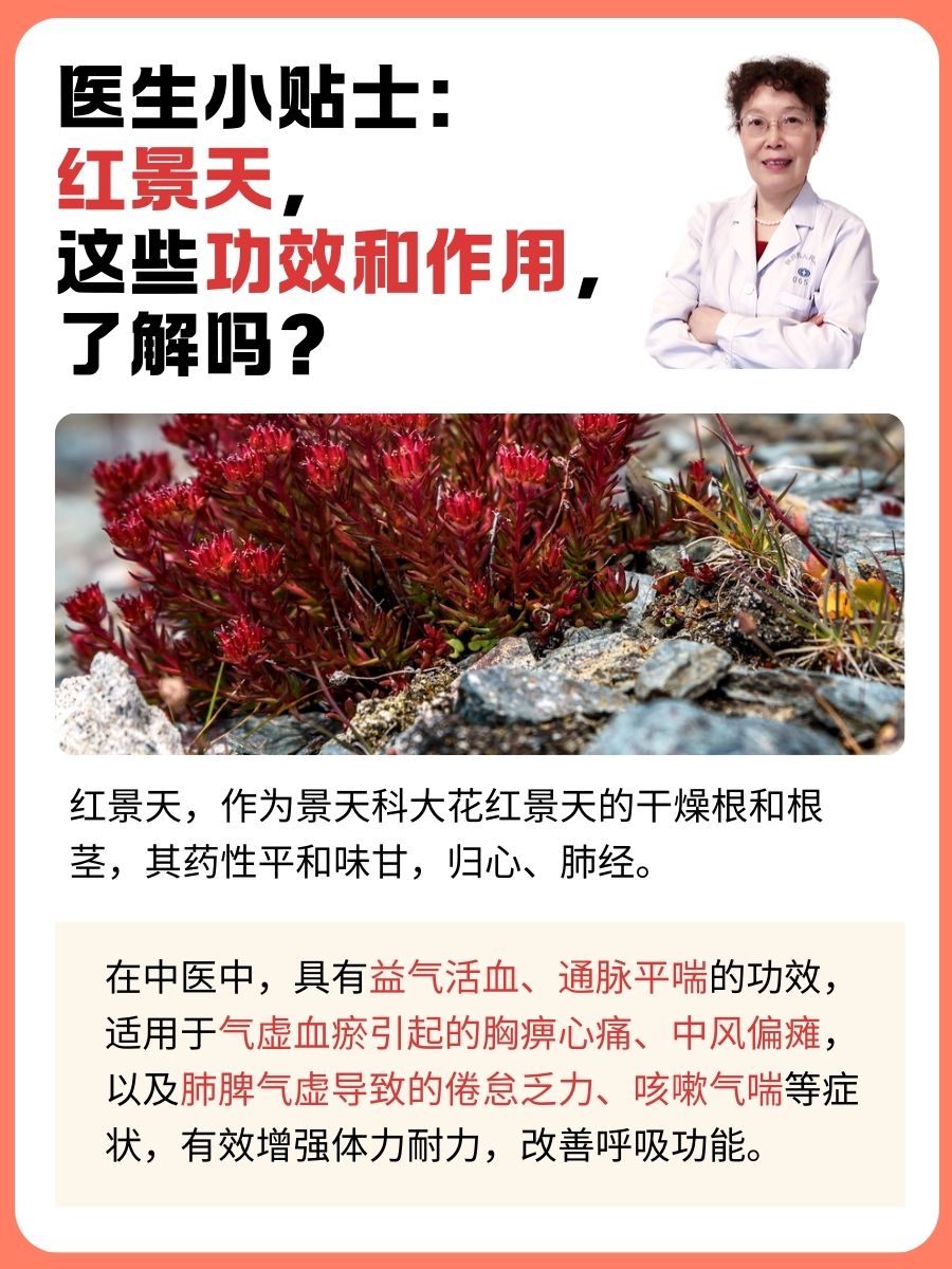 医生小贴士：红景天，这些功效和作用，了解吗？