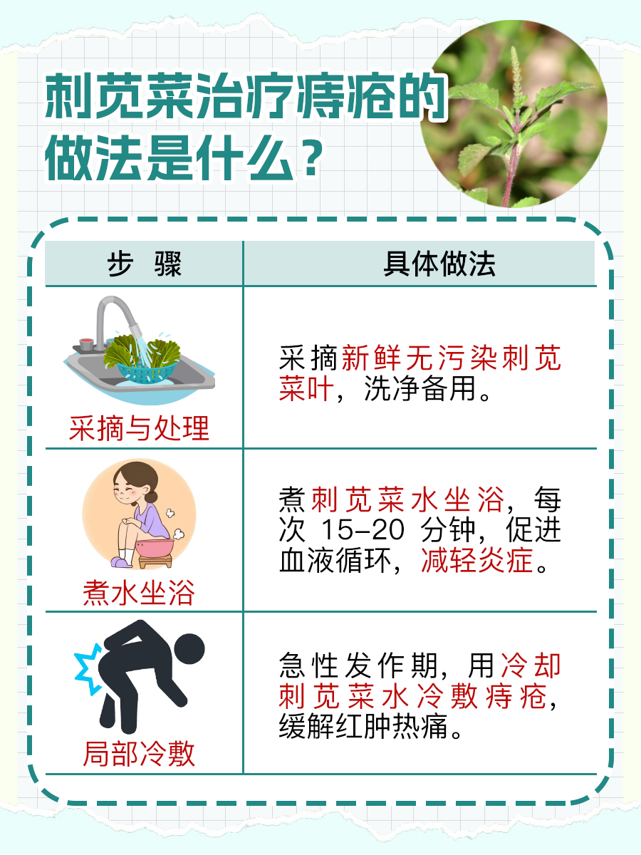 刺苋菜治疗痔疮的做法是什么？一文了解