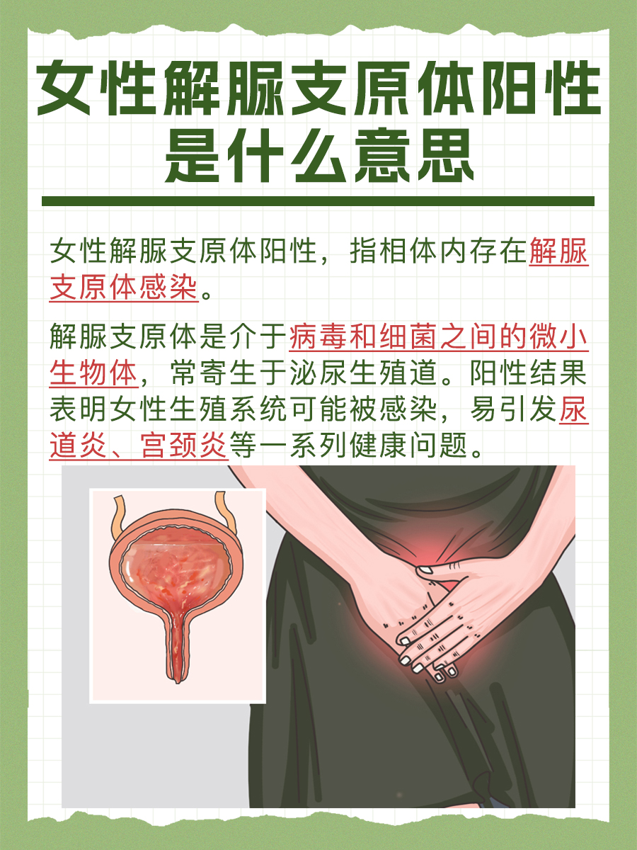 一文解析，女性解脲支原体阳性是什么意思