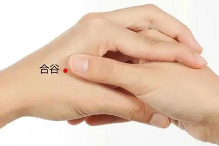 合谷穴位置图 合谷穴位置图