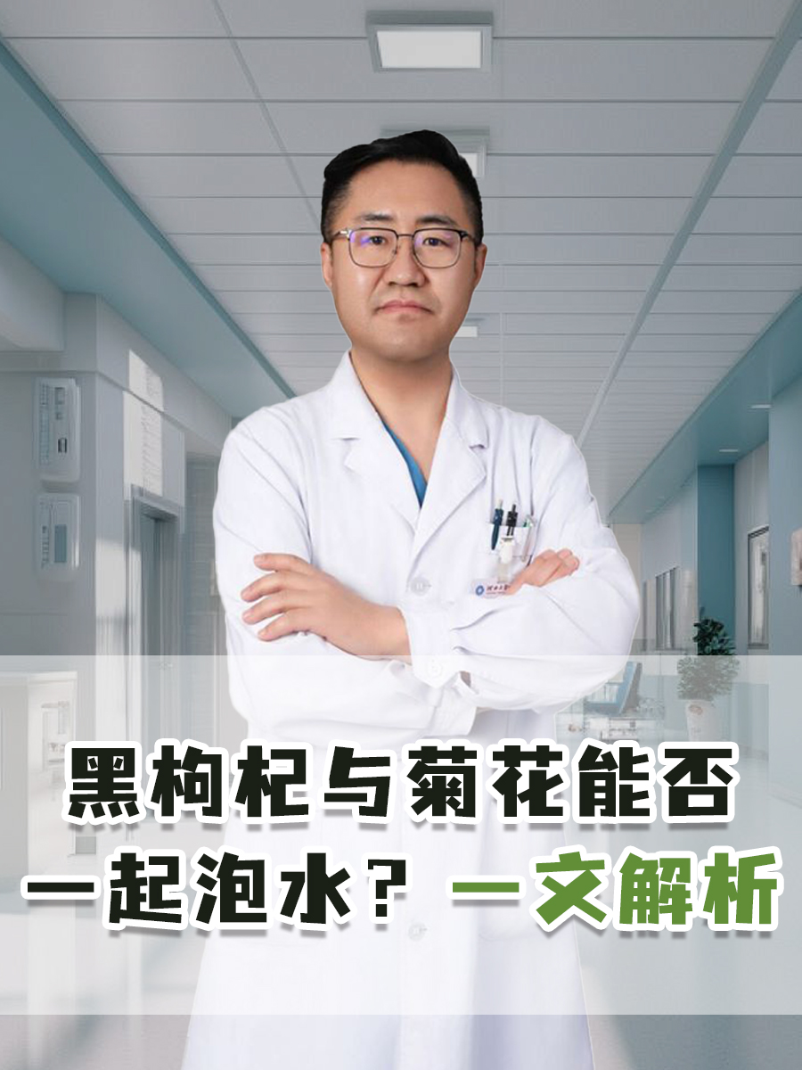 黑枸杞与菊花能否一起泡水？一文解析