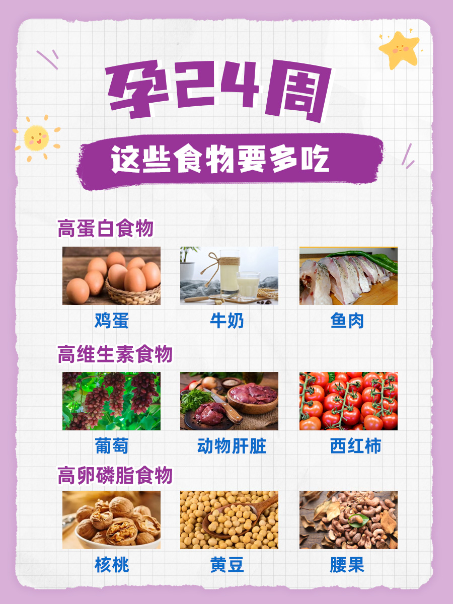 孕期24周，胎儿发育标准数据大公开！