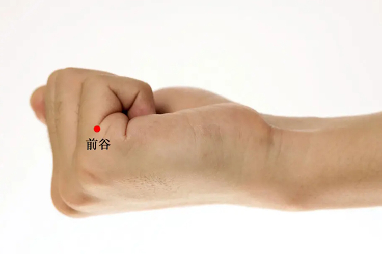 前谷准确位置图 前谷准确位置图