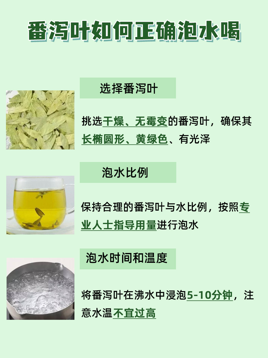 番泻叶泡水饮用指南：正确步骤