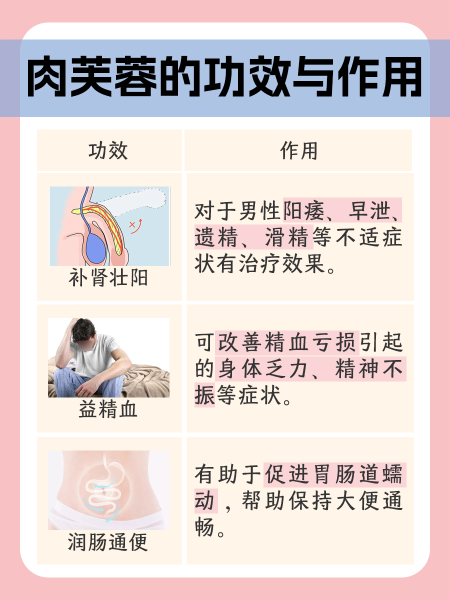 一文分析：肉苁蓉配什么泡酒效果好？