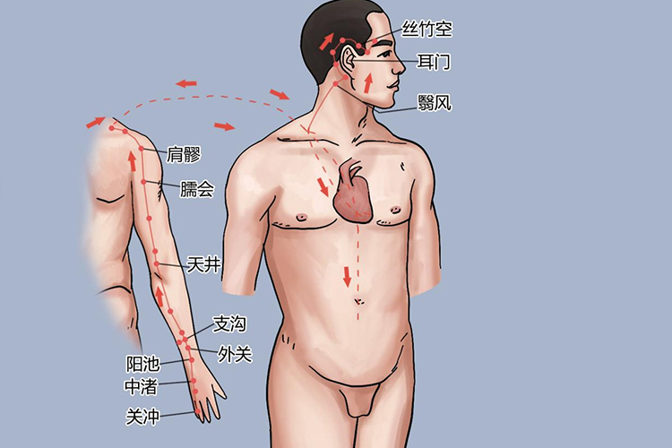 手少阳三焦经图