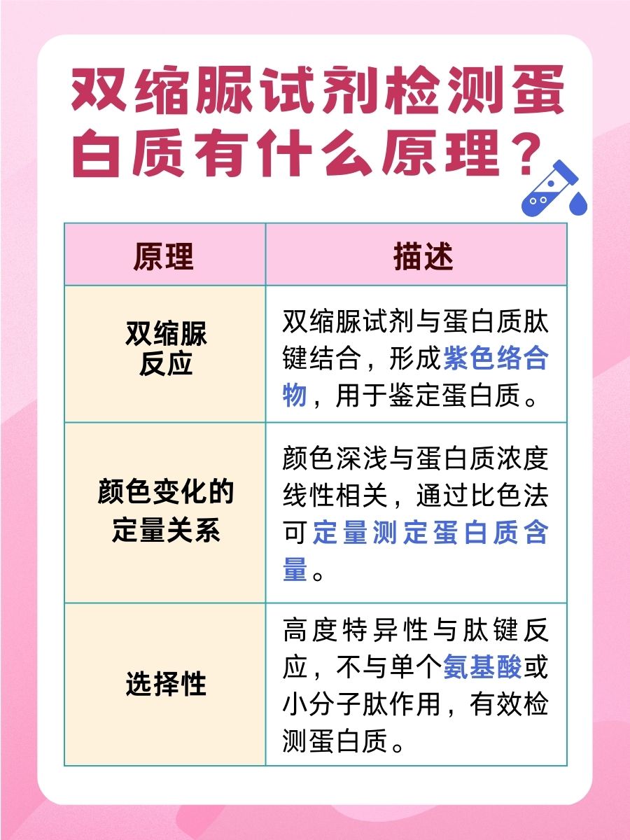 双缩脲试剂：蛋白质检测的原理