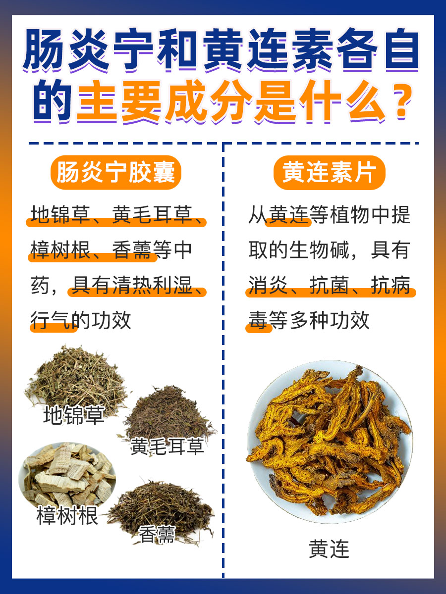 肠炎宁黄连素联手，肠道问题不再愁！