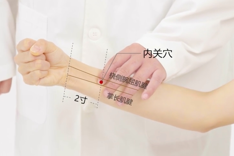 内关穴位置图