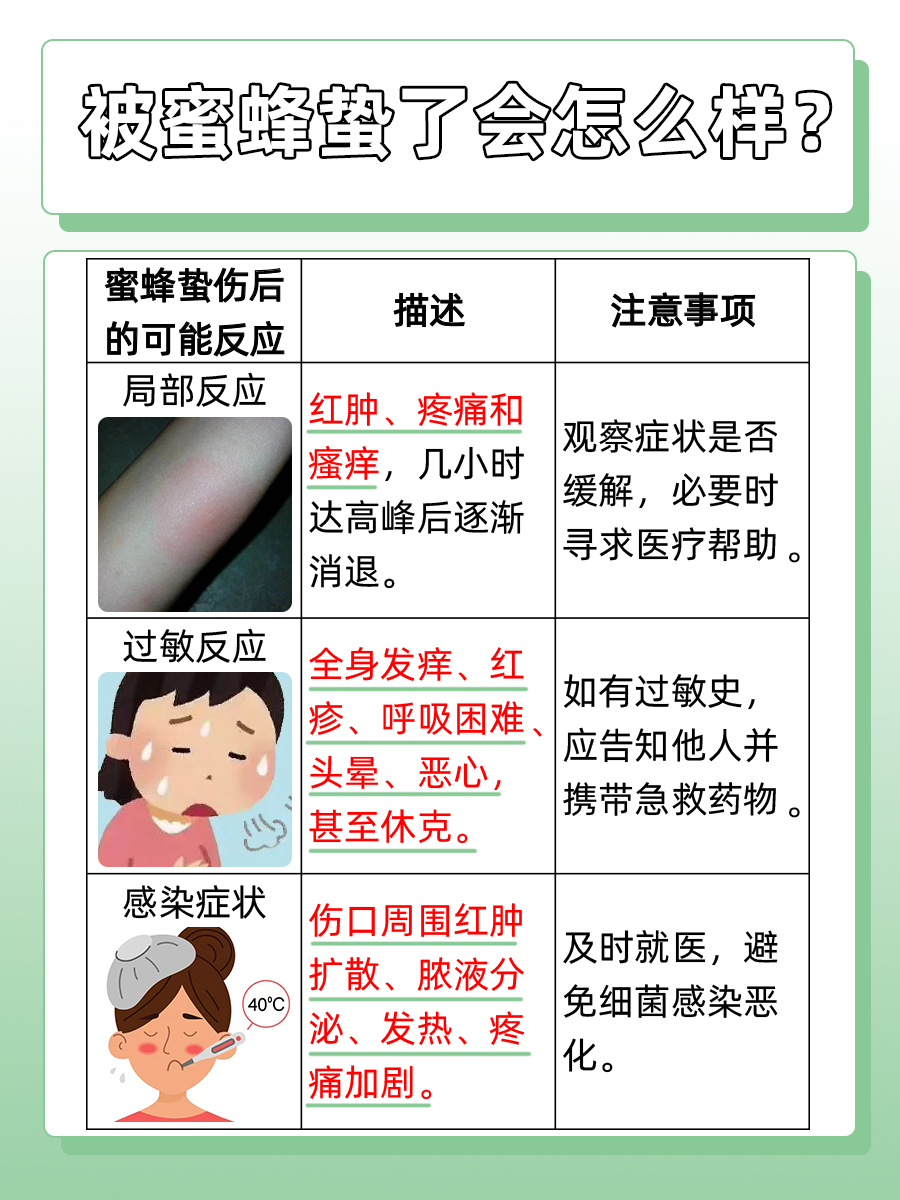 蜜蜂之吻：揭秘蜂蛰后的身体反应