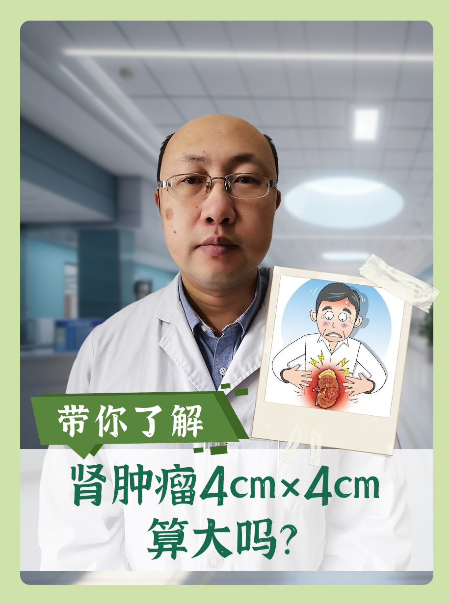 带你了解,肾肿瘤4cm×4cm算大吗?