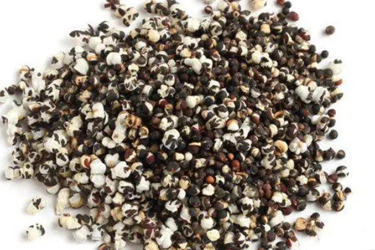 王不留行药材图