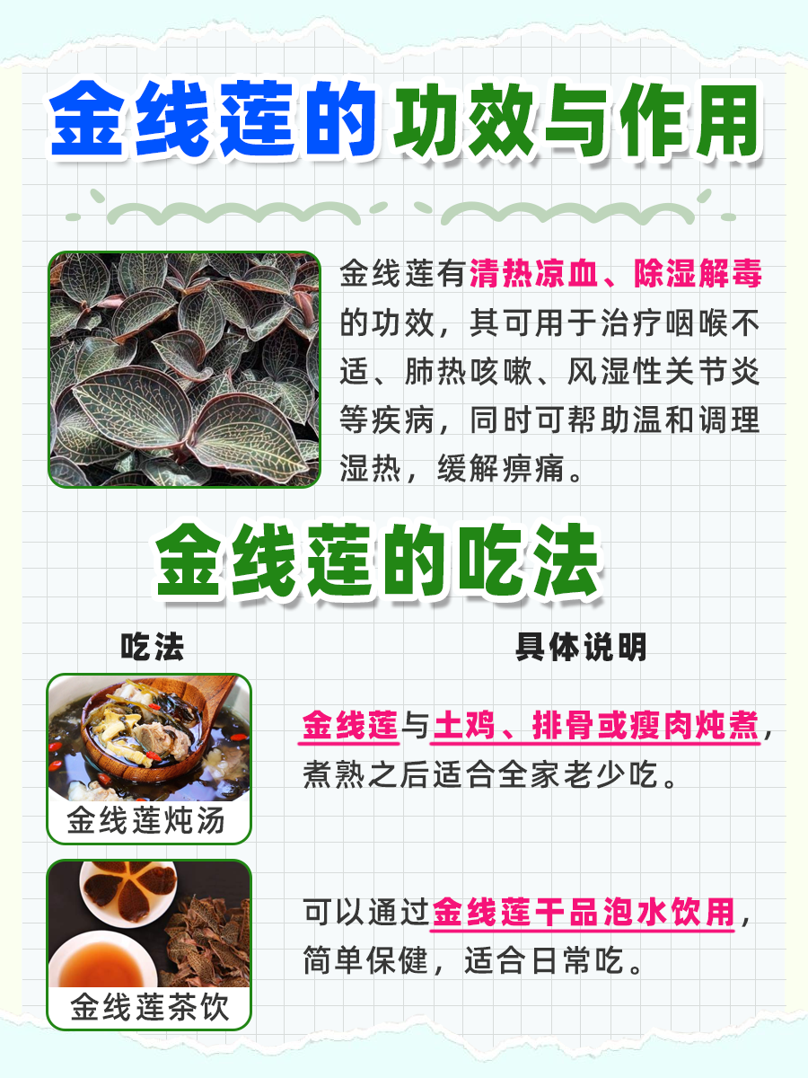金线莲的功用及多样吃法，助力健康！