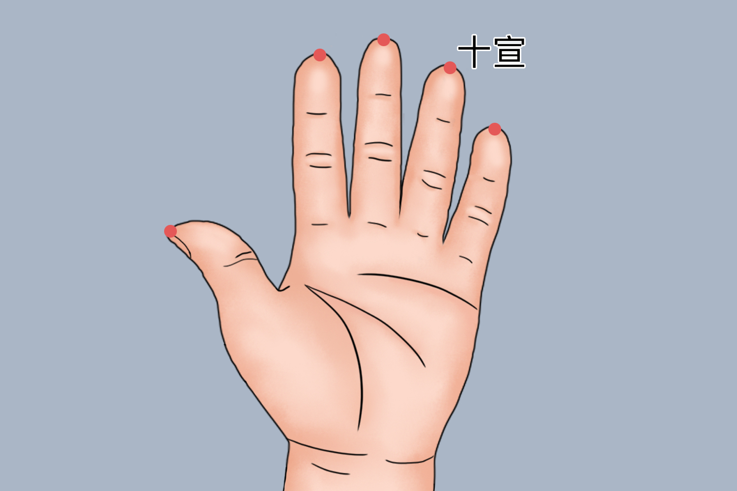 肝火十指放血位置图