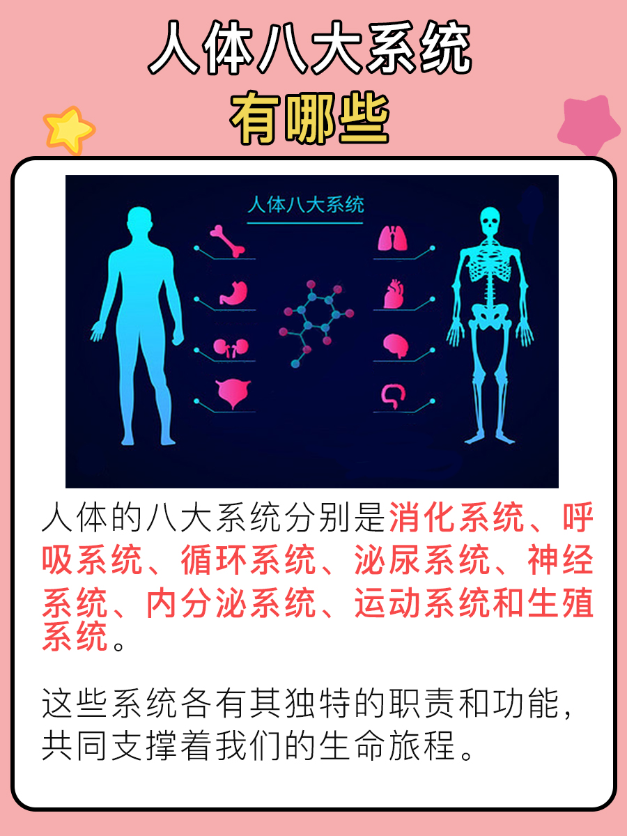 带你了解：人体八大系统有哪些