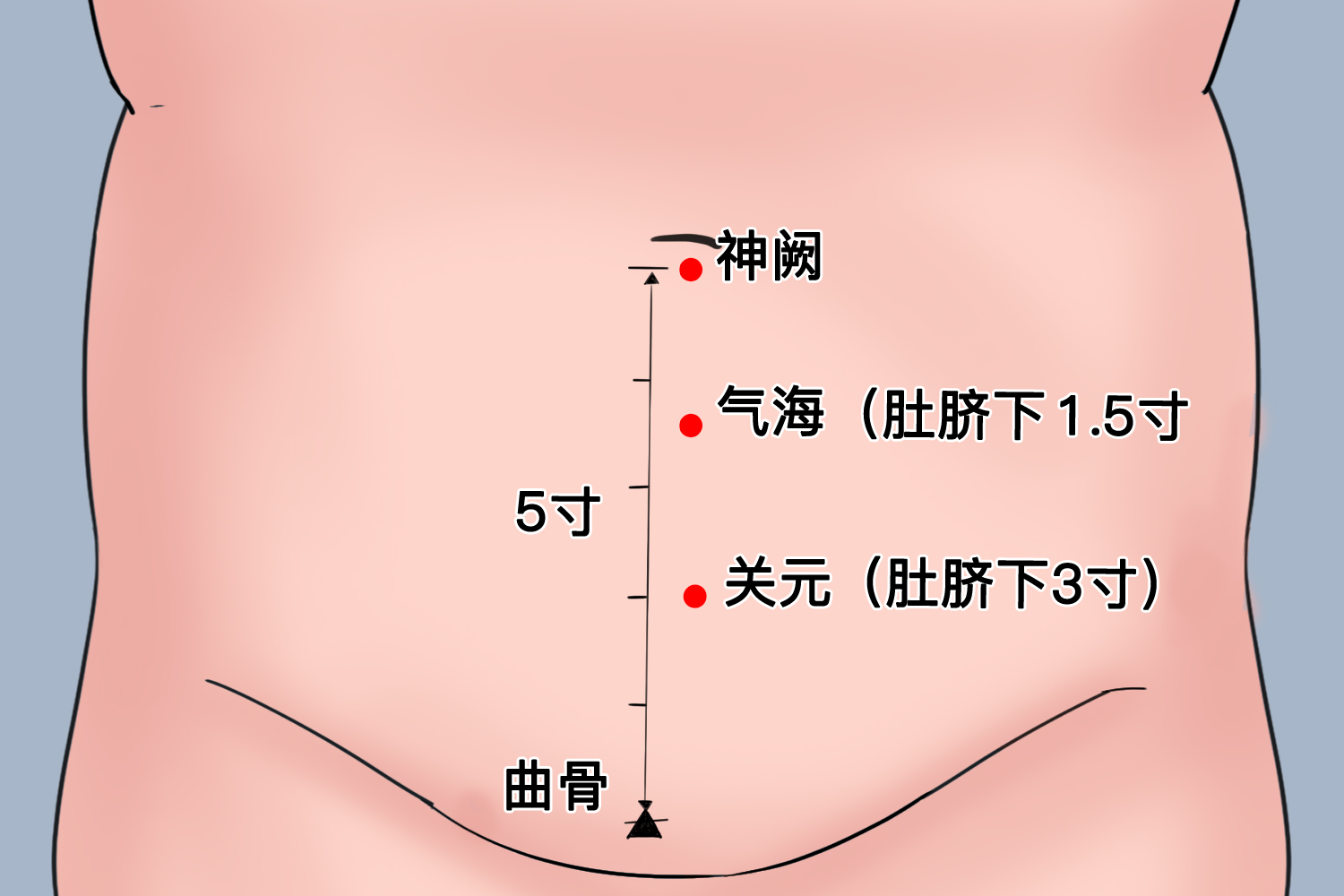 气海位置图