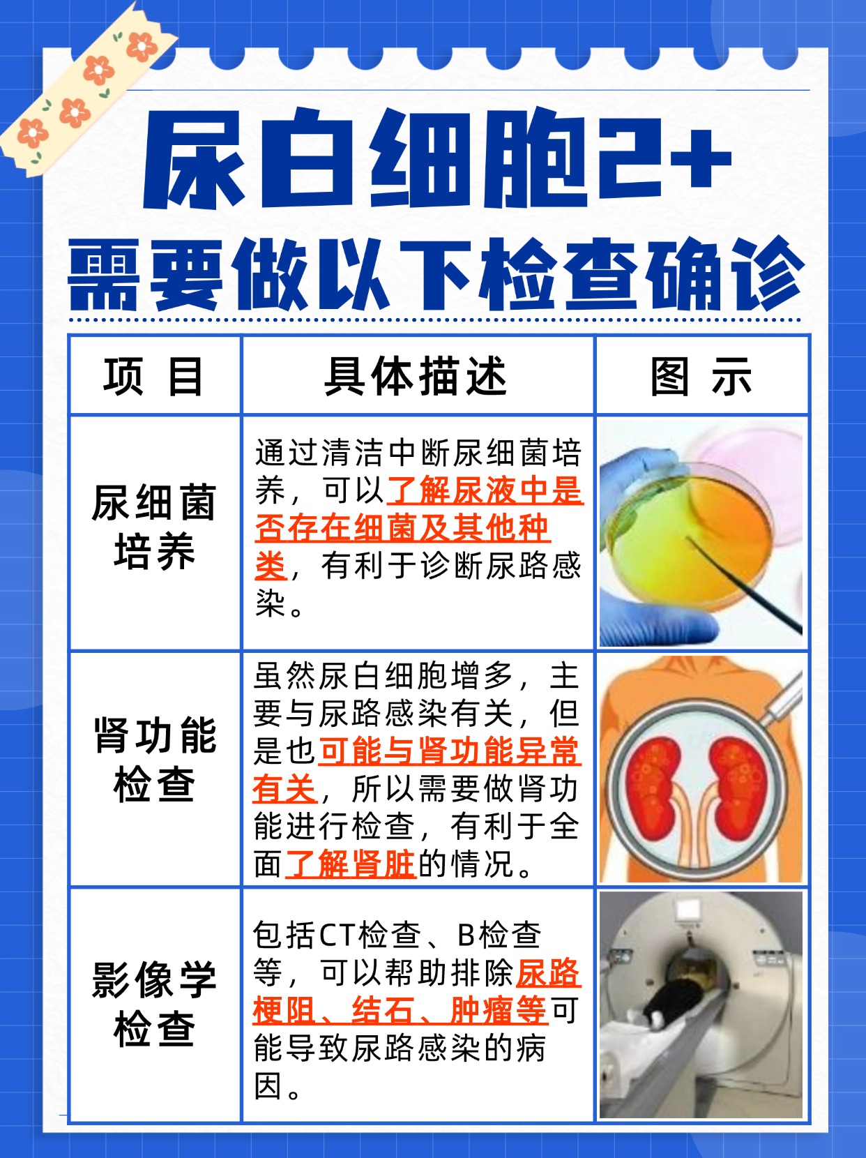 揭秘!尿白细胞2+:你的尿液在告诉你什么?