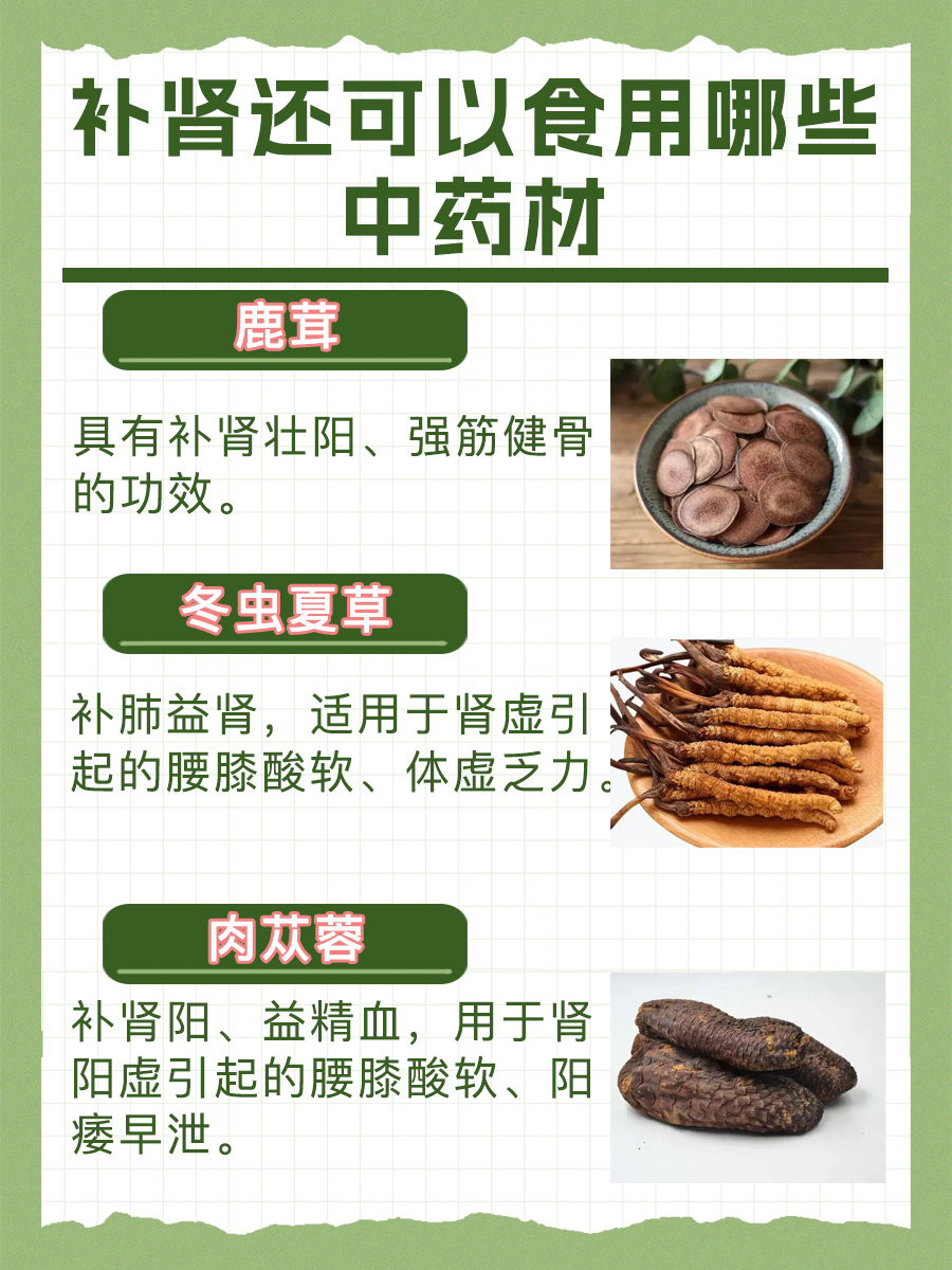 枸杞真的能补肾吗？真相在这里！