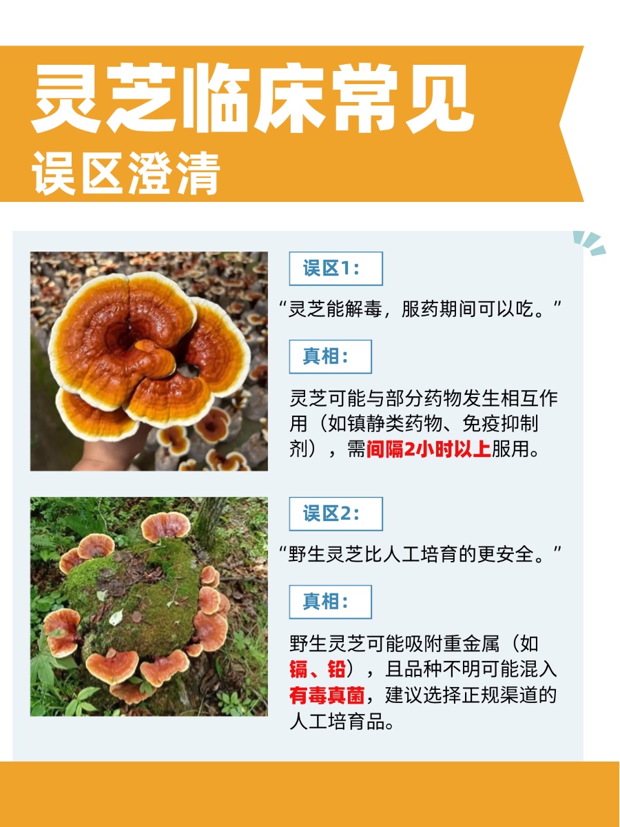 据说3类人不宜吃灵芝？中医大夫提醒：远远不止