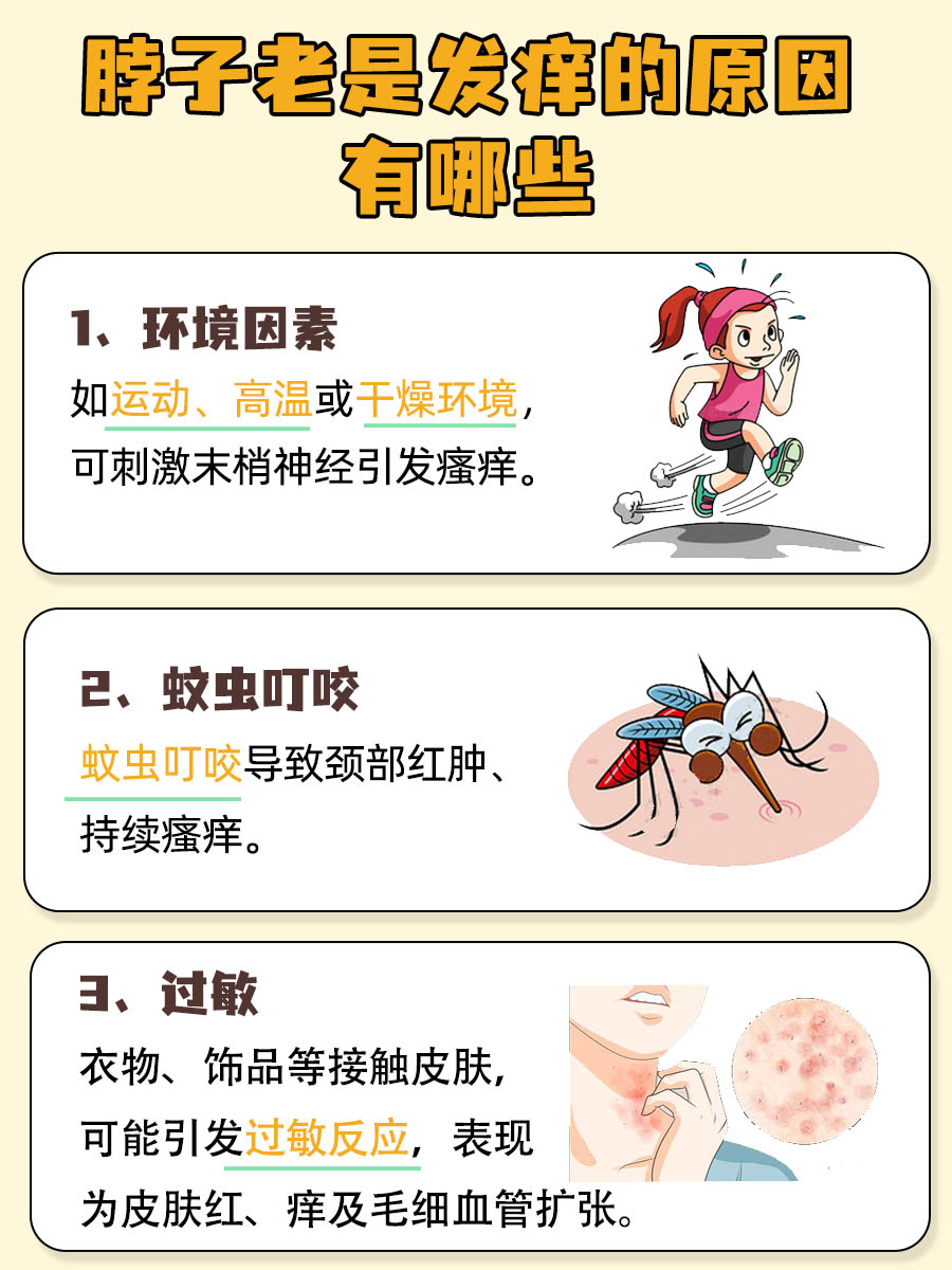 脖子老是发痒,原因在这里