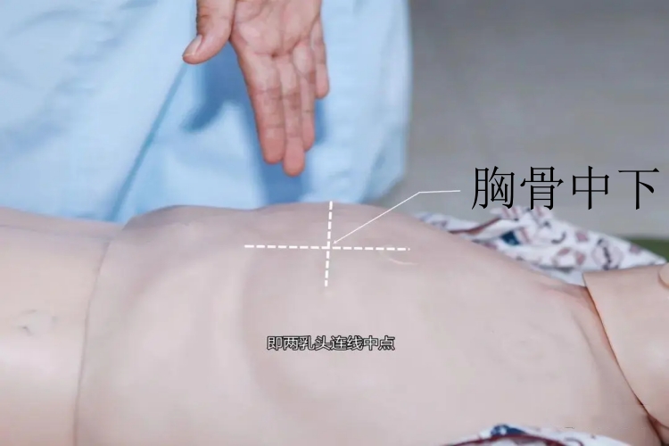 胸骨中下位置图