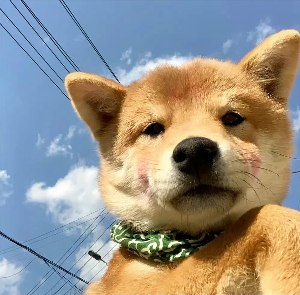 北京协和医院谢勇医生怎么样？怎么挂号？