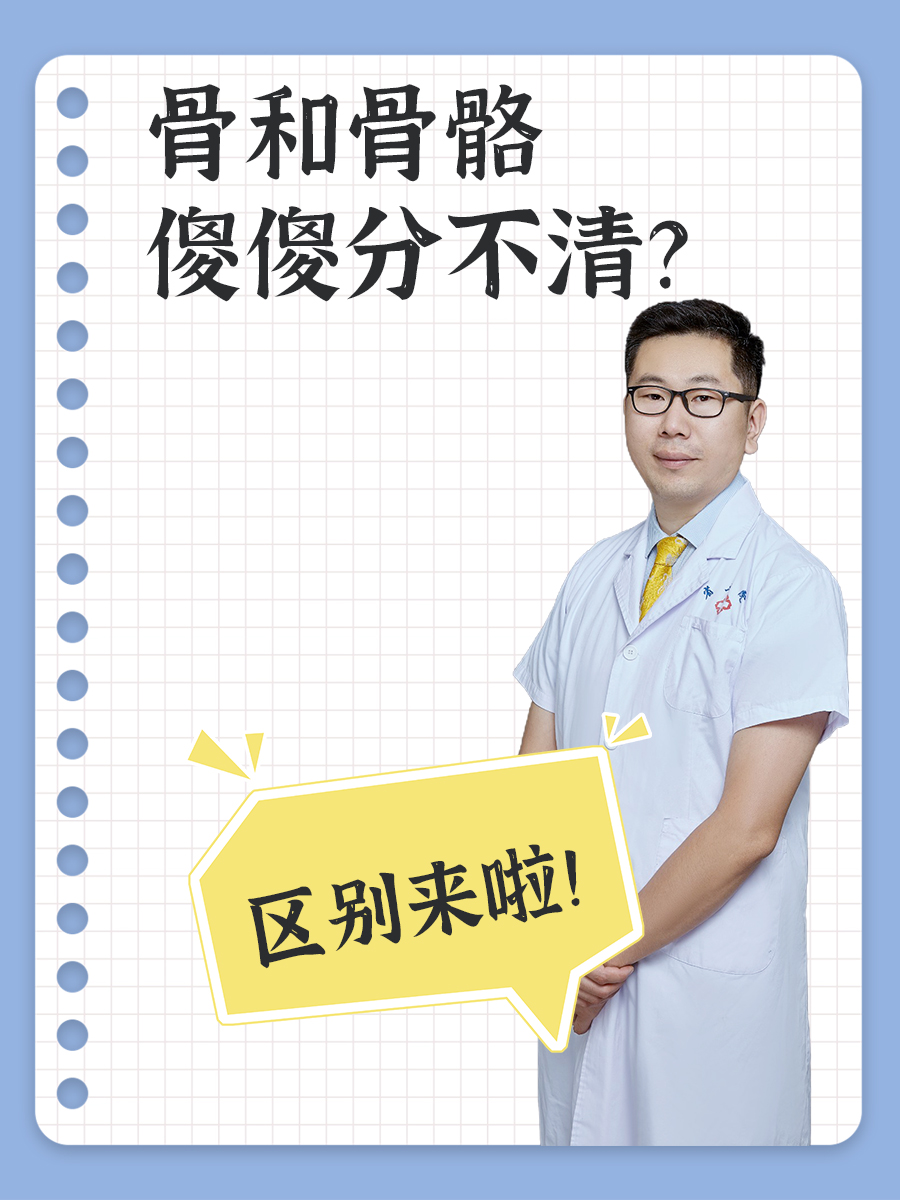 骨和骨骼傻傻分不清？区别来啦！