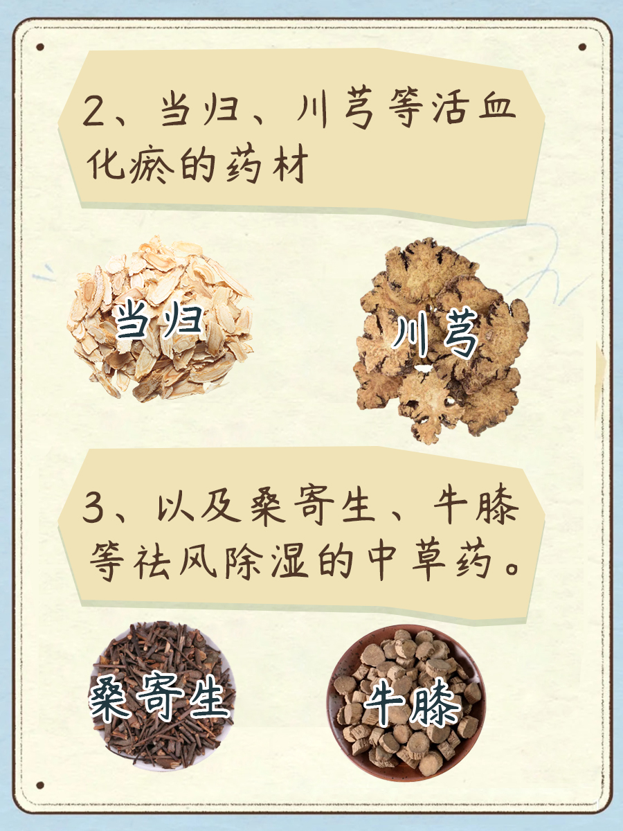 泥蛇：中医里的“养生小能手”，原来有这些用