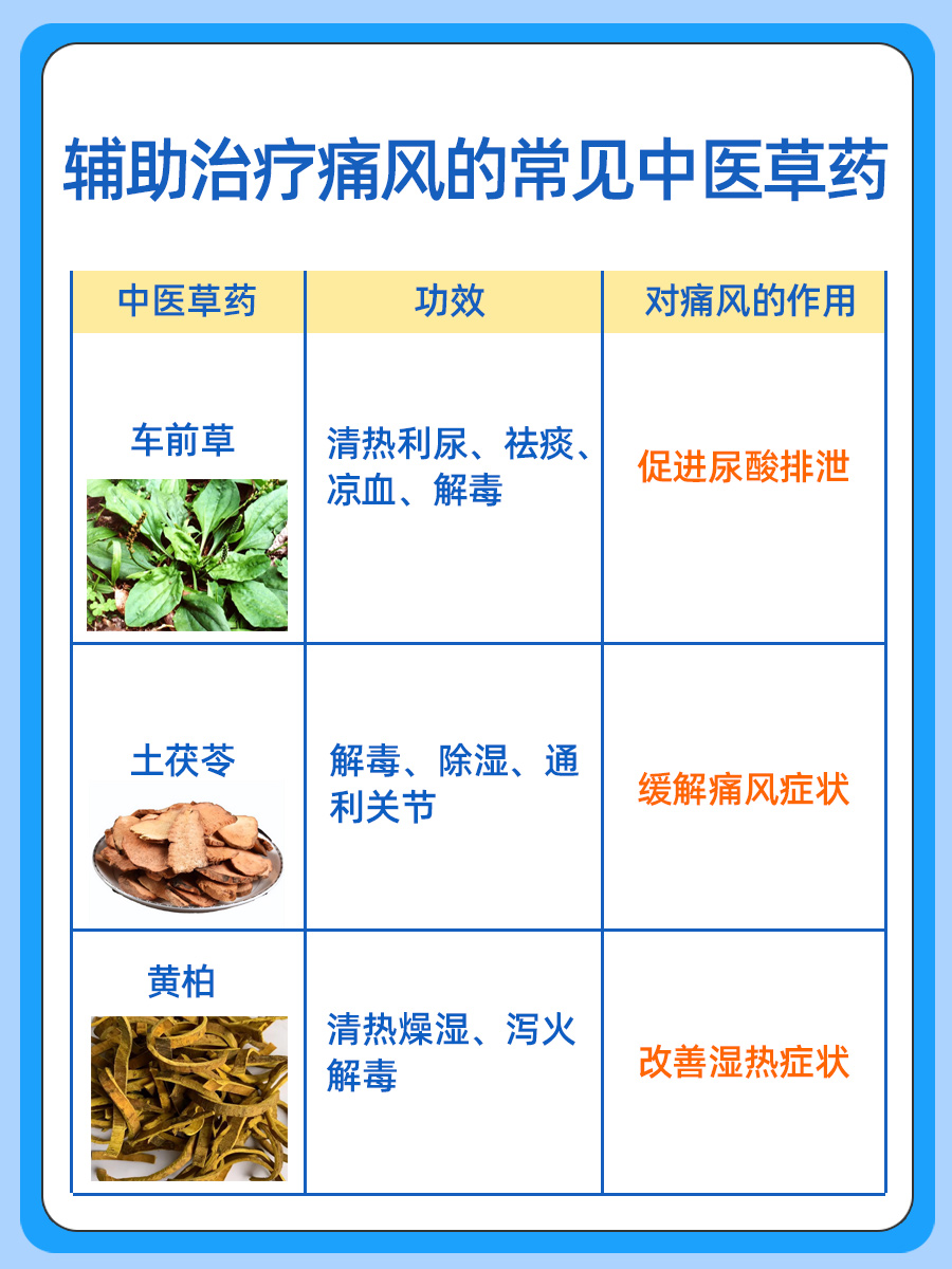 深挖！猫须草在缓解痛风上的功效与作用