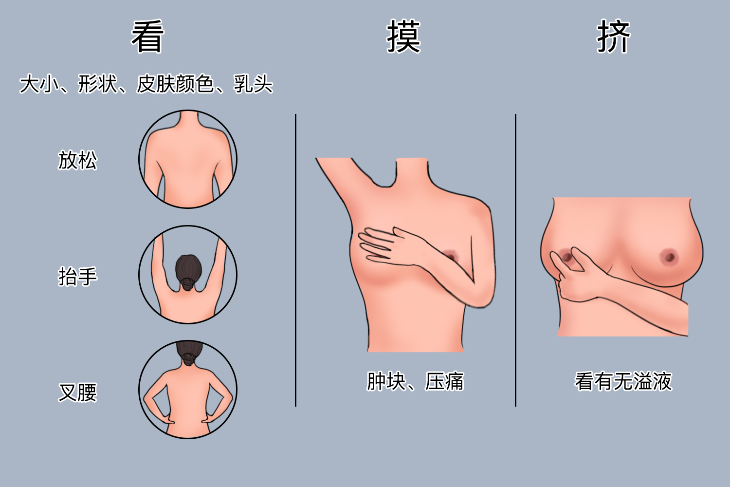乳房自检方法图解 乳房自检方法图解