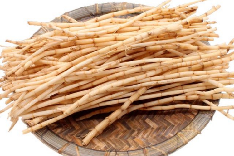 茅根药材图